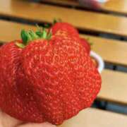 ヒメ日記 2025/04/14 15:36 投稿 えり 大阪回春性感エステティーク谷九店