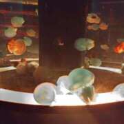 ヒメ日記 2025/10/10 22:02 投稿 早瀬まち エステdeシンデレラ横浜（シンデレラグループ）