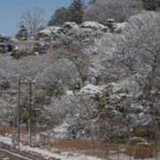 ヒメ日記 2025/03/03 12:16 投稿 ちあき TSUBAKI（水戸）