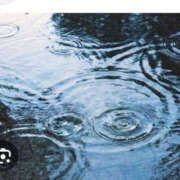 ヒメ日記 2025/06/21 12:30 投稿 ちあき TSUBAKI（水戸）