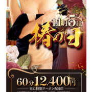 ヒメ日記 2025/11/05 10:14 投稿 ちあき TSUBAKI（水戸）