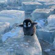 ヒメ日記 2025/02/08 09:44 投稿 さおり 熟女の風俗最終章 相模原店