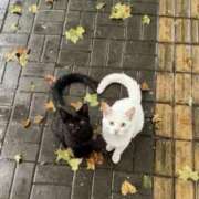 さおり 変更です🙏 熟女の風俗最終章 相模原店