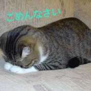 ヒメ日記 2025/05/05 08:50 投稿 さおり 熟女の風俗最終章 町田店