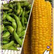 ヒメ日記 2025/07/20 09:50 投稿 さおり 熟女の風俗最終章 町田店