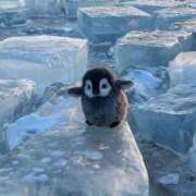 ヒメ日記 2026/02/09 17:20 投稿 さおり 熟女の風俗最終章 町田店