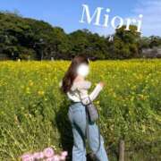 ヒメ日記 2025/11/14 08:35 投稿 みおり ワンダーホール24in幕張