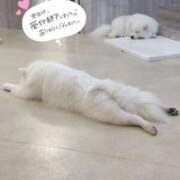 ヒメ日記 2025/12/27 23:00 投稿 みおり ワンダーホール24in幕張