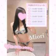 ヒメ日記 2026/03/02 01:38 投稿 みおり ワンダーホール24in幕張