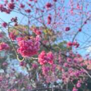 ヒメ日記 2026/03/05 10:52 投稿 みおり ワンダーホール24in幕張