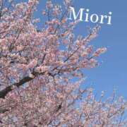 ヒメ日記 2026/03/12 10:34 投稿 みおり ワンダーホール24in幕張