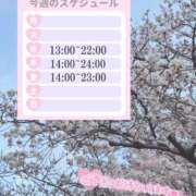 ヒメ日記 2026/04/01 10:35 投稿 みおり ワンダーホール24in幕張