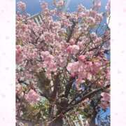 ヒメ日記 2025/02/28 14:54 投稿 みおり ワンダーホール24