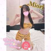 ヒメ日記 2026/02/14 20:02 投稿 みおり ワンダーホール24