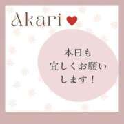 ヒメ日記 2024/01/19 09:57 投稿 あかり 出会い系人妻ネットワーク さいたま～大宮編