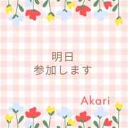 ヒメ日記 2024/02/12 23:11 投稿 あかり 出会い系人妻ネットワーク さいたま～大宮編