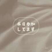 ヒメ日記 2024/12/15 09:59 投稿 あかり 出会い系人妻ネットワーク さいたま～大宮編
