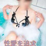 ヒメ日記 2024/12/25 21:46 投稿 ひなこ ZERO-i