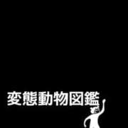 ヒメ日記 2025/11/16 15:16 投稿 ひなこ ZERO-i