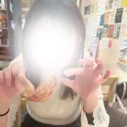 ヒメ日記 2025/11/28 12:16 投稿 ひなこ ZERO-i