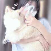 ヒメ日記 2025/10/03 11:47 投稿 あおい 花火-hanabi-(すすきの)