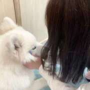 ヒメ日記 2025/11/18 16:23 投稿 あおい 花火-hanabi-(すすきの)