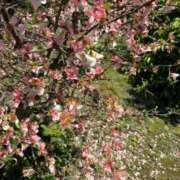 ゆりあ ❤️お出かけシーズン✨ 池袋夢幻