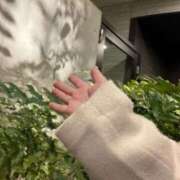 ヒメ日記 2025/01/16 08:23 投稿 さち 人妻小旅行～神奈川県央編