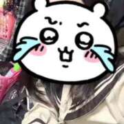 ヒメ日記 2024/12/17 15:17 投稿 めい ポッキリ学園 ～モテモテハーレムごっこ～