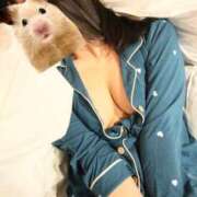 ヒメ日記 2024/12/24 12:05 投稿 めい ポッキリ学園 ～モテモテハーレムごっこ～