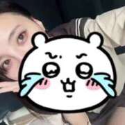 ヒメ日記 2024/12/26 18:21 投稿 めい ポッキリ学園 ～モテモテハーレムごっこ～