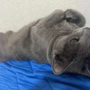 ヒメ日記 2024/12/28 09:51 投稿 めい ポッキリ学園 ～モテモテハーレムごっこ～