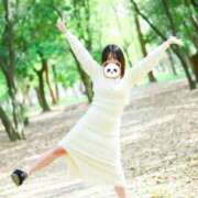 ヒメ日記 2025/02/01 14:51 投稿 めい ポッキリ学園 ～モテモテハーレムごっこ～