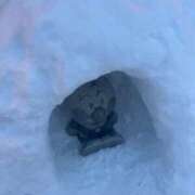 ヒメ日記 2025/02/12 19:21 投稿 めい ポッキリ学園 ～モテモテハーレムごっこ～