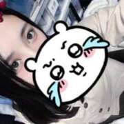 ヒメ日記 2025/02/19 17:21 投稿 めい ポッキリ学園 ～モテモテハーレムごっこ～