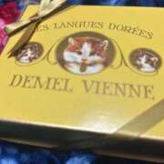 ヒメ日記 2025/04/05 11:02 投稿 めい ポッキリ学園 ～モテモテハーレムごっこ～