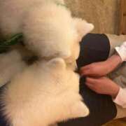 ヒメ日記 2025/05/01 14:01 投稿 めい ポッキリ学園 ～モテモテハーレムごっこ～