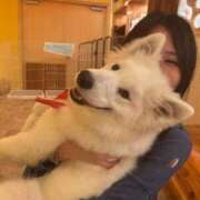 ヒメ日記 2025/05/03 00:41 投稿 めい ポッキリ学園 ～モテモテハーレムごっこ～