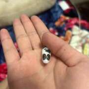 ヒメ日記 2025/05/07 12:51 投稿 めい ポッキリ学園 ～モテモテハーレムごっこ～