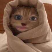 ヒメ日記 2025/05/14 13:21 投稿 めい ポッキリ学園 ～モテモテハーレムごっこ～