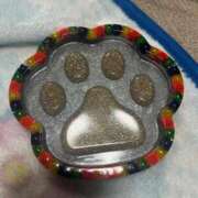 ヒメ日記 2025/05/24 11:41 投稿 めい ポッキリ学園 ～モテモテハーレムごっこ～