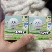 ヒメ日記 2025/06/04 22:39 投稿 めい ポッキリ学園 ～モテモテハーレムごっこ～