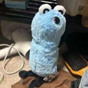 ヒメ日記 2025/06/18 00:41 投稿 めい ポッキリ学園 ～モテモテハーレムごっこ～