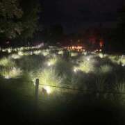 ヒメ日記 2025/06/28 09:02 投稿 めい ポッキリ学園 ～モテモテハーレムごっこ～