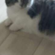 ヒメ日記 2025/07/23 09:51 投稿 めい ポッキリ学園 ～モテモテハーレムごっこ～