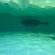 ヒメ日記 2025/07/25 17:02 投稿 めい ポッキリ学園 ～モテモテハーレムごっこ～