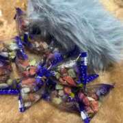 ヒメ日記 2025/08/03 10:02 投稿 めい ポッキリ学園 ～モテモテハーレムごっこ～