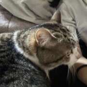 ヒメ日記 2025/08/19 12:02 投稿 めい ポッキリ学園 ～モテモテハーレムごっこ～