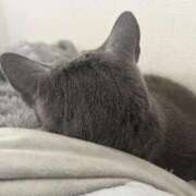 ヒメ日記 2025/08/27 19:21 投稿 めい ポッキリ学園 ～モテモテハーレムごっこ～