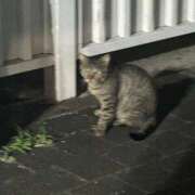 ヒメ日記 2025/08/30 12:03 投稿 めい ポッキリ学園 ～モテモテハーレムごっこ～